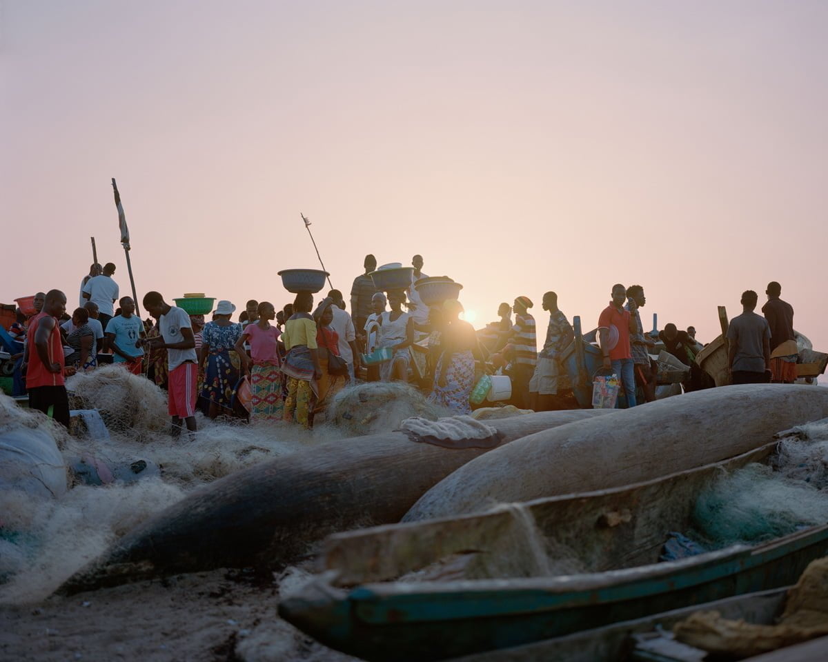 reaching for dawn elliott verdier